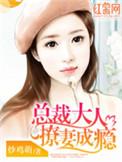 总裁大人宠妻上瘾免费阅读