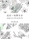 送你一枝野百合无防盗