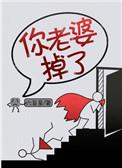 你老婆掉了 六盲星讲的什么