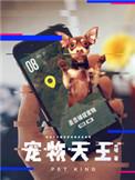 宠物天王三部曲