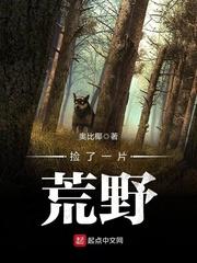 捡了一个荒野