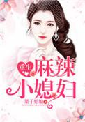 重生麻辣小媳妇讲的什么