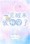 一觉醒来我怀孕了漫画