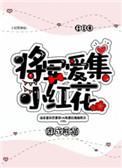 将军爱集小红花txt番外全