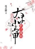 重生后太子扒了我的小马甲好看吗