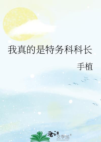 我是真的电视剧谁是特务