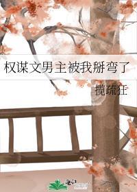 权谋文男主被我掰弯了txt百度