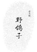 野鸽子进宅暗示什么