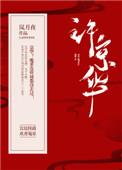 京华郡主烟花微微笑大结局