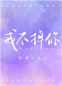 戒不掉你的我歌词