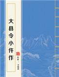 大县令小仵作有第二部吗
