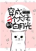 穿成三个大佬的白月光无防盗