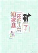 谁家里还没几座矿了百度