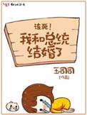 我和总统结婚了txt