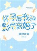 怀孕后我和影帝离婚了无防盗