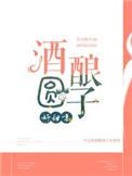 酒酿圆子是什么样子的