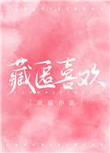 藏匿喜欢完结了吗