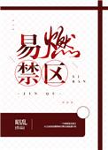 易燃禁区讲的什么
