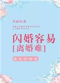闪婚闪离的人怎么想的