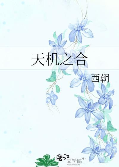 天机之合讲了什么故事