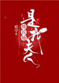 我是夫她是妻呀
