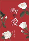 横刀夺爱电视剧