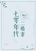 七零年代二婚妻阅读