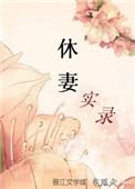 休妻实录讲的什么