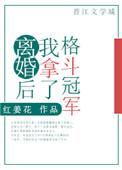 离婚后我拿了格斗冠军 百度