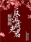捡到的反派成夫君无删减