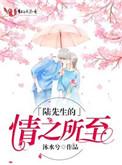 陆先生的情之所至TXT章节
