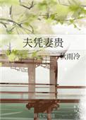 妻凭夫贵什么时候圆房