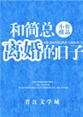 和简总离婚的日子番外