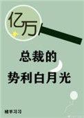 总裁亿万豪宠全文免费