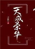 荣域天成集团