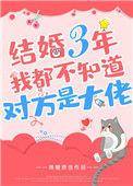书名结婚三年我都不知道对方是大佬