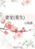 妻宠重生