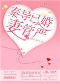 秦导已婚