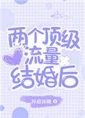两个顶级流量结婚后书评