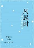 风起时电视剧2018