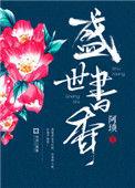 盛世书香段府