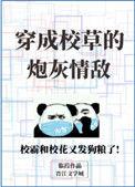 穿成校草的炮灰情敌94