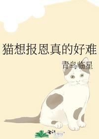 猫猫报恩表情包