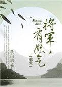 将军有喜了by