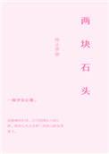 两块石头的故事感悟