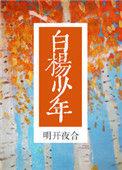 白杨少年TXT