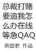 总裁打赌要追我怎么办在线等急。配角有没有番外