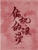 偏执的浪漫by