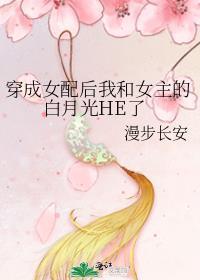 马甲是剧本组不是美强惨免费阅读
