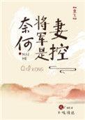奈何将军是妻控番外